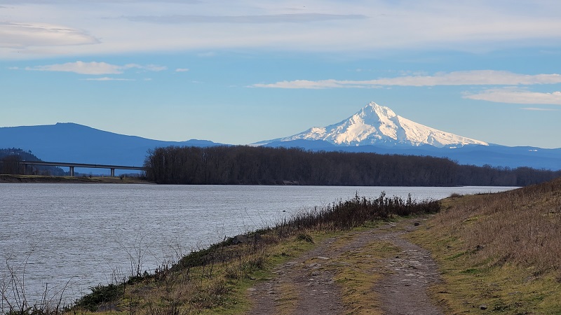 Mt Hood from the Columbia River